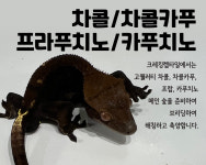 크레킹렙타일