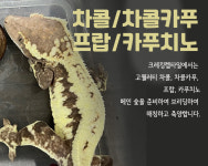 크레킹렙타일