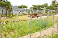 (주)올바른씨케이 필그림재활요양원 | 필그림재활요양원