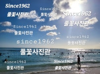 풀꽃사진관 아이뽀또