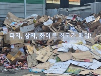 온누리