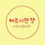 페르시안켓아동동지점 | 페르시안캣