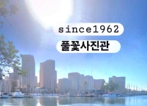 풀꽃사진관 아이뽀또