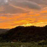 성화늘솔길 | 늘솔길