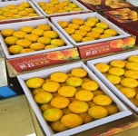 준도유통 | 해태농수산