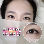 미모다뷰티둔산 | 미모다뷰티 노은점