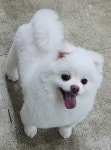 주식회사 이지베이프 | 하이베이프