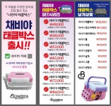 채비야 CHAEBIYA