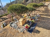 오케이의전후불제상조