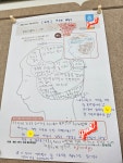 동탄2목동잉글루학원 | 책나무 동탄목동독서논술학원