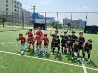 팀일레븐축구클럽