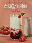 카페 가비나무