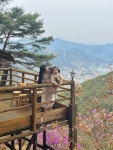 숲의하루
