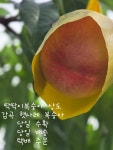 명품다육부부농원 - 안동시 충효로 4406 | 명품농원