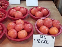 독립문영천시장 벼락청과