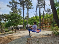 산속애