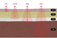 이유있는디이어트하상점 | 이유있는 다이어트 더 봄날