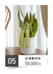 후기