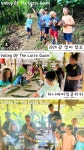 허니베어잉글리쉬