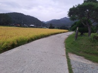 땅끝금쇄원한옥민박 | 땅끝금쇄원 한옥민박