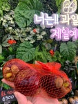 우리동네국민상회고현점 | 우리동네국민상회 부평힐스테이트점
