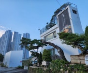 틴커피장유본점 | 고목 장유본점