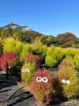 산들소리