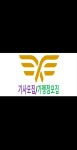 플라이
