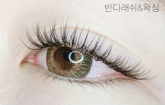 스테이지래쉬&왁싱 | 반디래쉬&왁싱