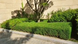 양평일송조경