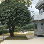 주식회사 파씨오네인터렉티브 | 파씨오네
