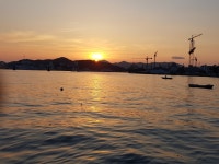 태영수산