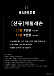 하버 스케이트보드