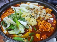 8도리