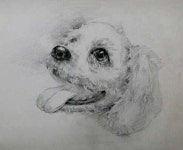누오미술교습소 | 누오미술