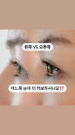 유한회사 다봄 | 다봄