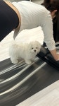 오브유필라테스동편점 | 오유필라테스