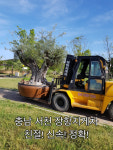 진해신항건설및건설중장비협동조합 | 장항지게차
