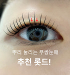 유한회사 다봄 | 다봄