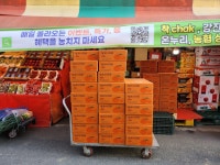 관악청과상회 | 부흥청과상회