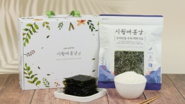 시월애봄날 전주서곡본점