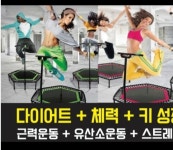 올리Go점핑&힐링 | 네오빌 점핑&힐링카페