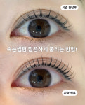 유한회사 다봄 | 다봄
