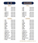 레온디테일링자동차피부샵 | 레온디테일링