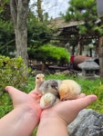 (주)에코팜후레쉬월드 | 에코팜
