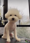 스파그루SpaGroo | 스파그루