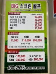 빅스크린골프
