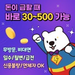 대출보라 대부중개