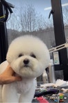 스파그루SpaGroo | 스파그루
