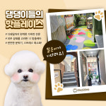 고려한백이말순 | 몽말순